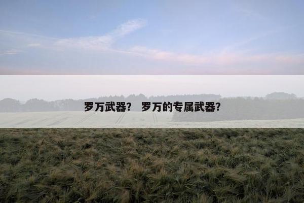罗万武器？ 罗万的专属武器？