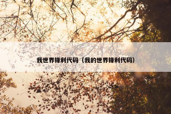 我世界锋利代码（我的世界锋利代码）