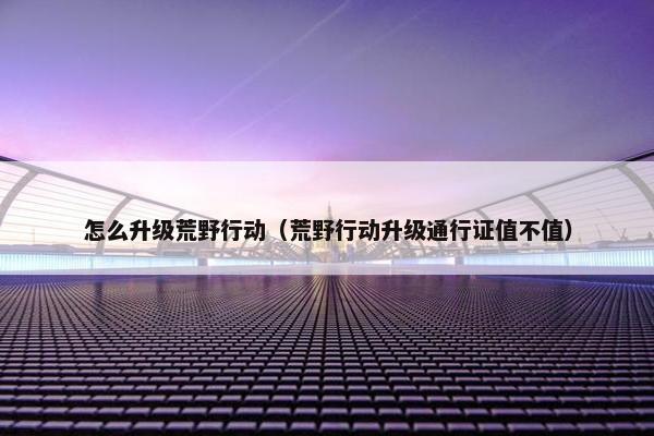 怎么升级荒野行动（荒野行动升级通行证值不值）