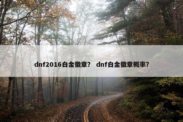 dnf2016白金徽章？ dnf白金徽章概率？