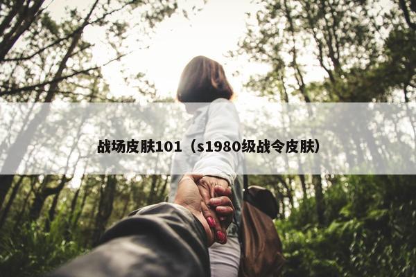 战场皮肤101(s1980级战令皮肤) 战场皮肤101(s1980级战令皮肤)