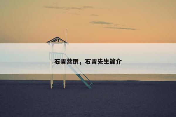 石青营销,石青先生简介 石青营销,石青先生简介