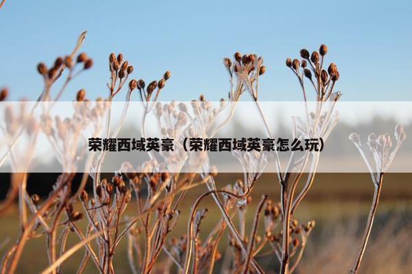 荣耀西域英豪(荣耀西域英豪怎么玩) 荣耀西域英豪(荣耀西域英豪怎么玩)
