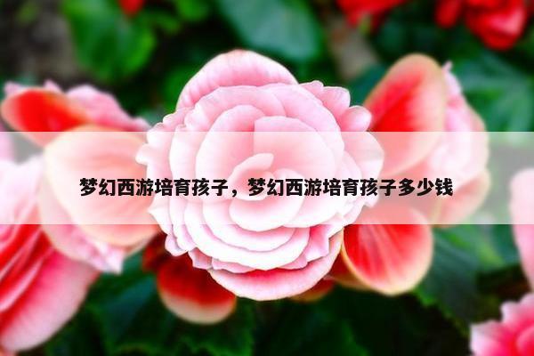 梦幻西游培育孩子，梦幻西游培育孩子多少钱
