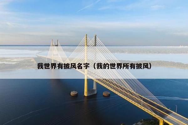 我世界有披风名字(我的世界所有披风) 我世界有披风名字(我的世界所有披风)