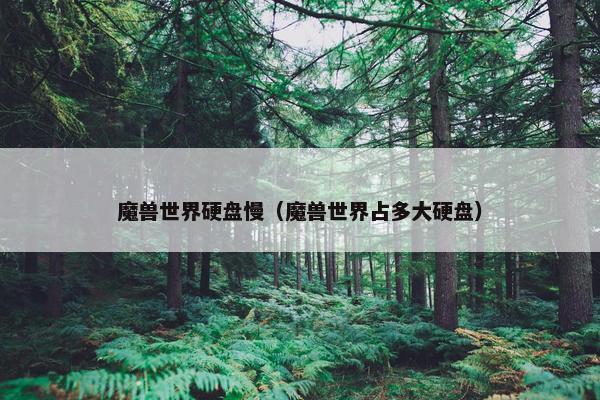 魔兽世界硬盘慢(魔兽世界占多大硬盘) 魔兽世界硬盘慢(魔兽世界占多大硬盘)