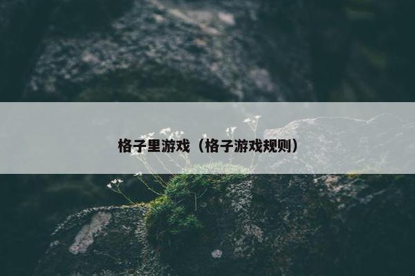 格子里游戏(格子游戏规则) 格子里游戏(格子游戏规则)