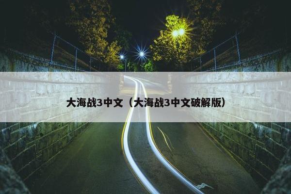 大海战3中文(大海战3中文破解版) 大海战3中文(大海战3中文破解版)