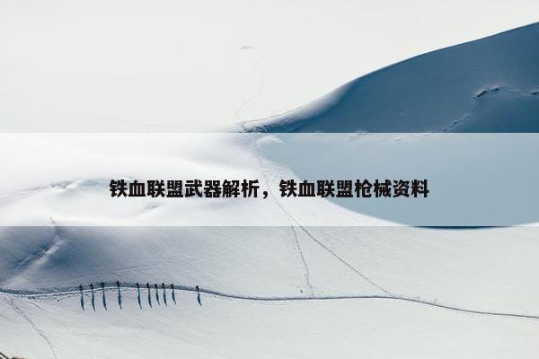 铁血联盟武器解析，铁血联盟枪械资料