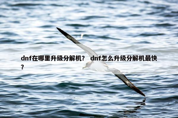 dnf在哪里升级分解机? dnf怎么升级分解机最快? dnf在哪里升级分解机? dnf怎么升级分解机最快?