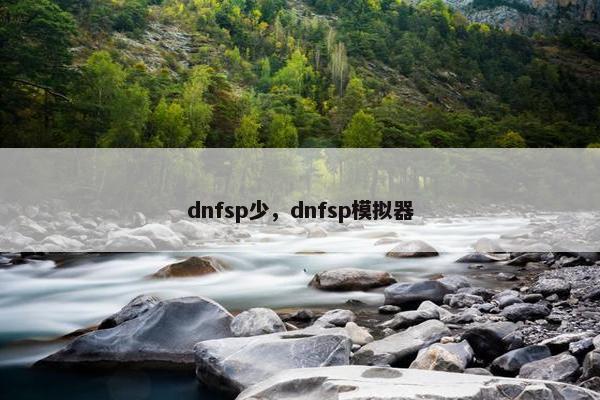 dnfsp少,dnfsp模拟器 dnfsp少,dnfsp模拟器