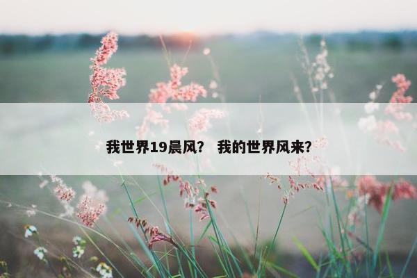 我世界19晨风? 我的世界风来? 我世界19晨风? 我的世界风来?