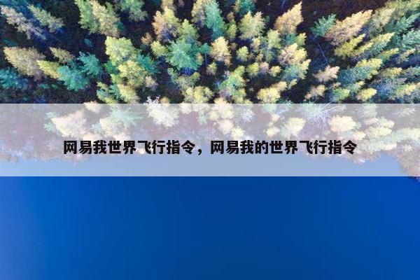 网易我世界飞行指令,网易我的世界飞行指令 网易我世界飞行指令,网易我的世界飞行指令