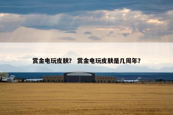 赏金电玩皮肤? 赏金电玩皮肤是几周年? 赏金电玩皮肤? 赏金电玩皮肤是几周年?