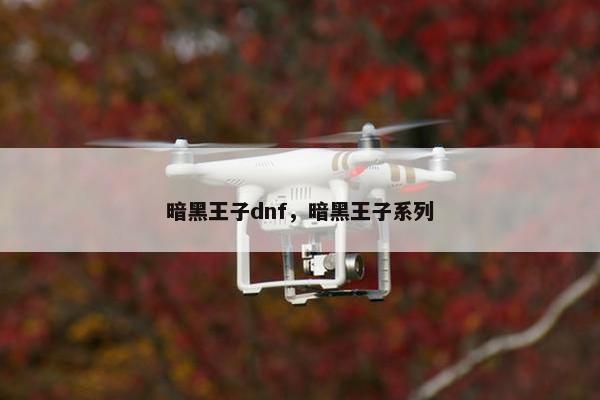 暗黑王子dnf,暗黑王子系列 暗黑王子dnf,暗黑王子系列