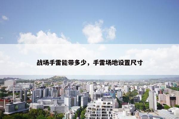战场手雷能带多少,手雷场地设置尺寸 战场手雷能带多少,手雷场地设置尺寸