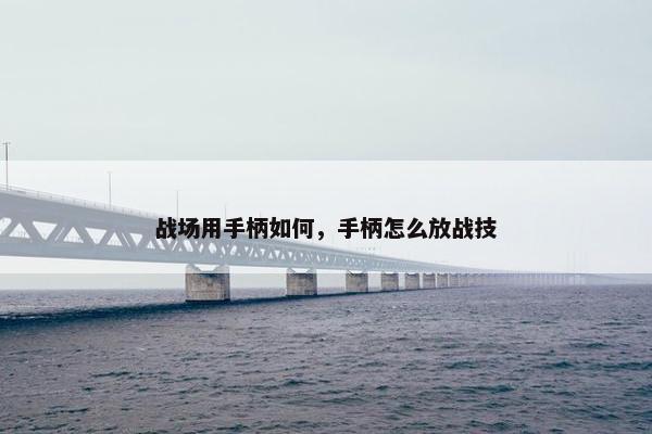 战场用手柄如何,手柄怎么放战技 战场用手柄如何,手柄怎么放战技