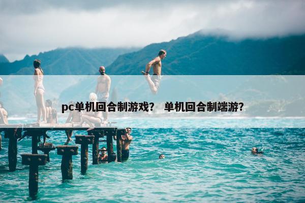 pc单机回合制游戏? 单机回合制端游? pc单机回合制游戏? 单机回合制端游?