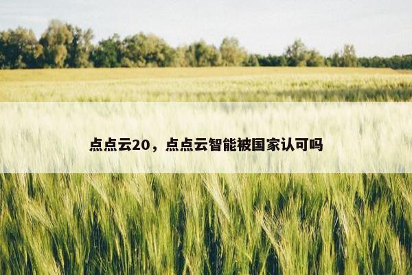 点点云20,点点云智能被国家认可吗 点点云20,点点云智能被国家认可吗
