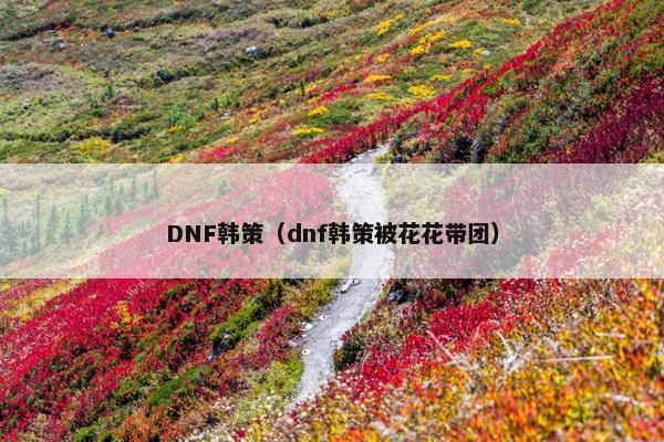 DNF韩策（dnf韩策被花花带团）