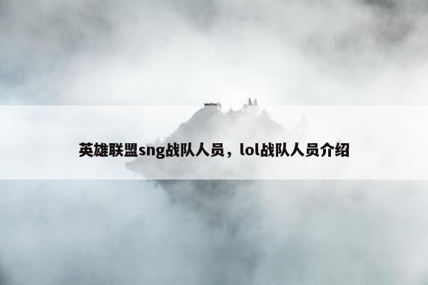 英雄联盟sng战队人员，lol战队人员介绍