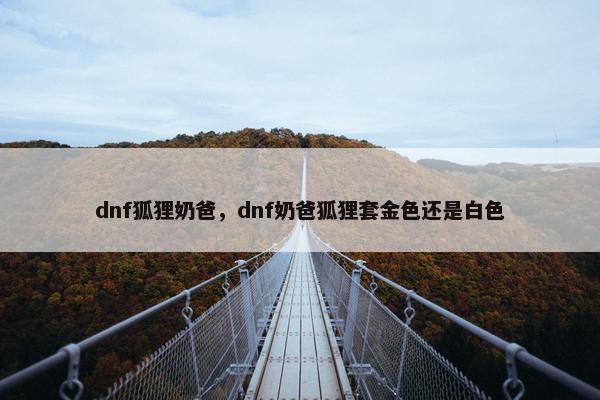 dnf狐狸奶爸,dnf奶爸狐狸套金色还是白色 dnf狐狸奶爸,dnf奶爸狐狸套金色还是白色