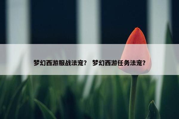 梦幻西游服战法宠? 梦幻西游任务法宠? 梦幻西游服战法宠? 梦幻西游任务法宠?