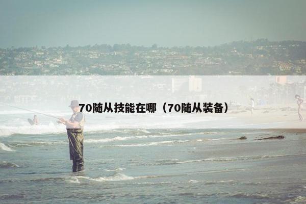 70随从技能在哪(70随从装备) 70随从技能在哪(70随从装备)