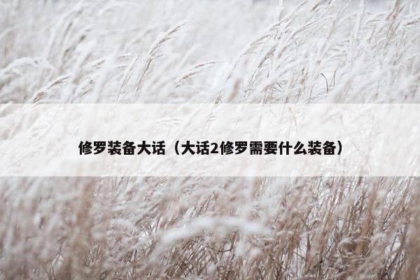 修罗装备大话(大话2修罗需要什么装备) 修罗装备大话(大话2修罗需要什么装备)