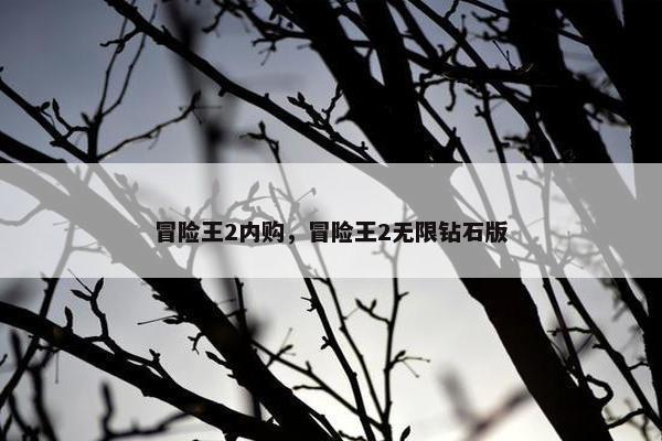 冒险王2内购,冒险王2无限钻石版 冒险王2内购,冒险王2无限钻石版