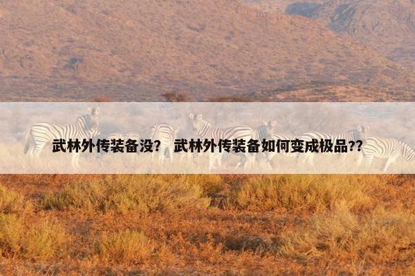 武林外传装备没？ 武林外传装备如何变成极品?？