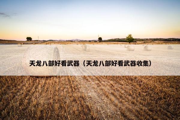 天龙八部好看武器（天龙八部好看武器收集）