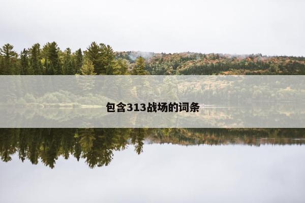 包含313战场的词条