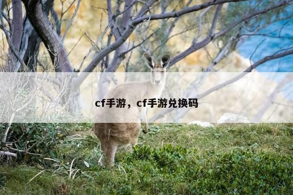 cf手游,cf手游兑换码 cf手游,cf手游兑换码