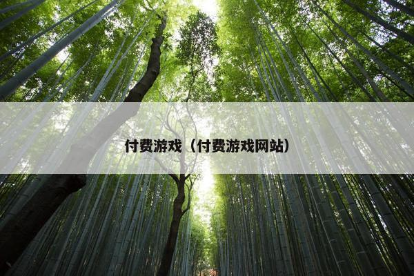 付费游戏（付费游戏网站）