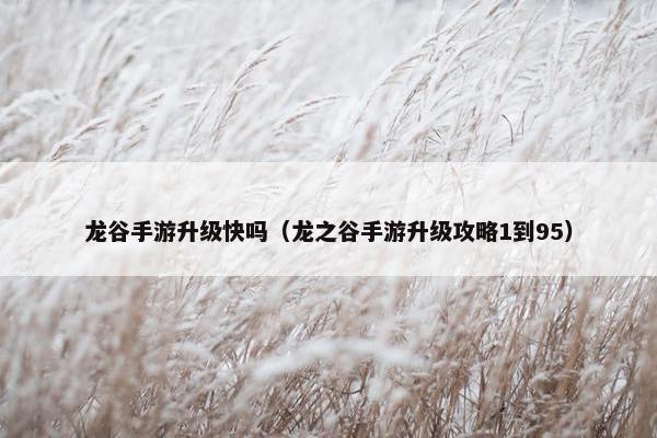 龙谷手游升级快吗(龙之谷手游升级攻略1到95) 龙谷手游升级快吗(龙之谷手游升级攻略1到95)