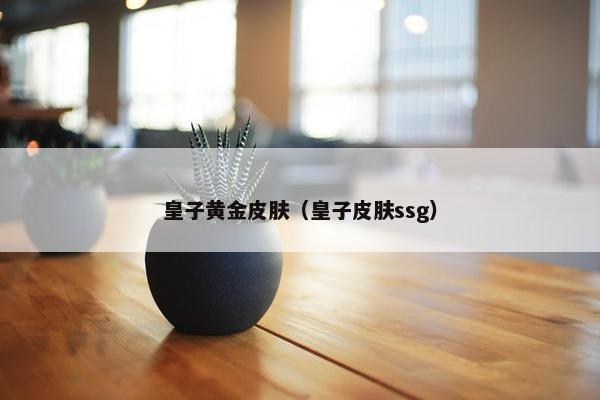 皇子黄金皮肤（皇子皮肤ssg）