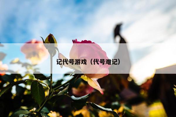 记代号游戏（代号难记）