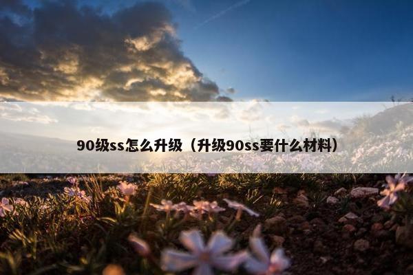 90级ss怎么升级（升级90ss要什么材料）