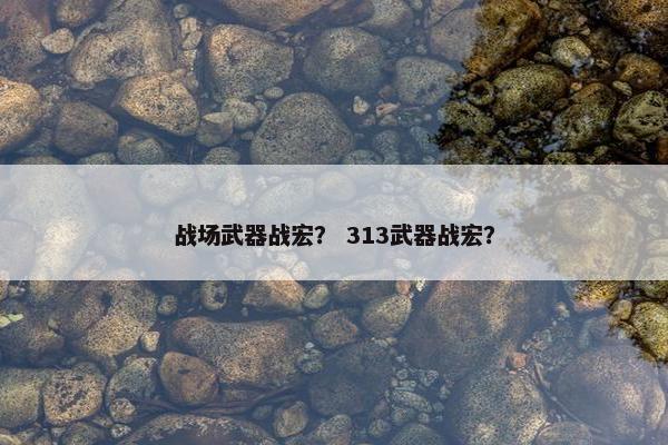 战场武器战宏? 313武器战宏? 战场武器战宏? 313武器战宏?