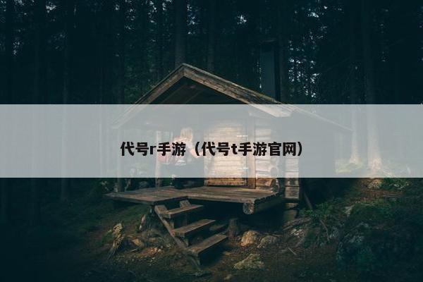 代号r手游（代号t手游官网）