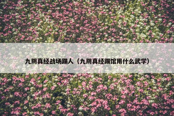 九阴真经战场踢人(九阴真经踢馆用什么武学) 九阴真经战场踢人(九阴真经踢馆用什么武学)