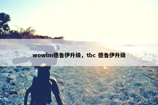 wowlm德鲁伊升级，tbc 德鲁伊升级