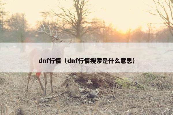 dnf行情(dnf行情搜索是什么意思) dnf行情(dnf行情搜索是什么意思)