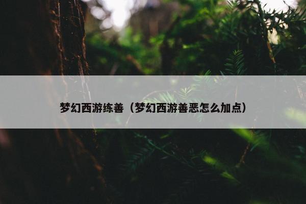 梦幻西游练善（梦幻西游善恶怎么加点）