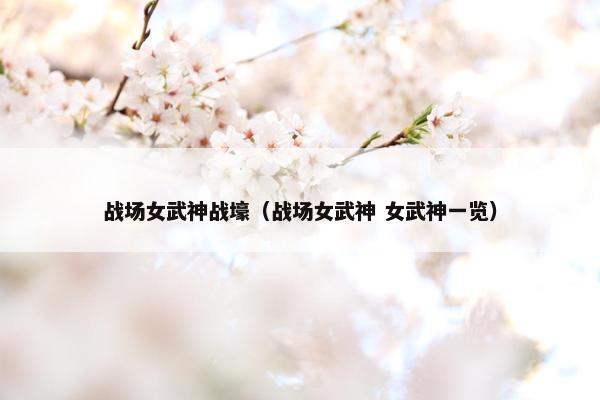 战场女武神战壕（战场女武神 女武神一览）