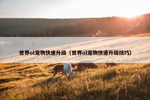 世界ol宠物快速升级（世界ol宠物快速升级技巧）