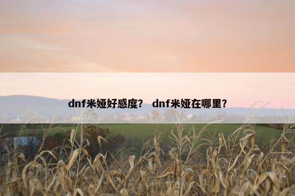 dnf米娅好感度？ dnf米娅在哪里？
