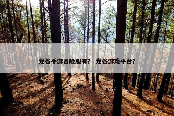 龙谷手游冒险服有？ 龙谷游戏平台？