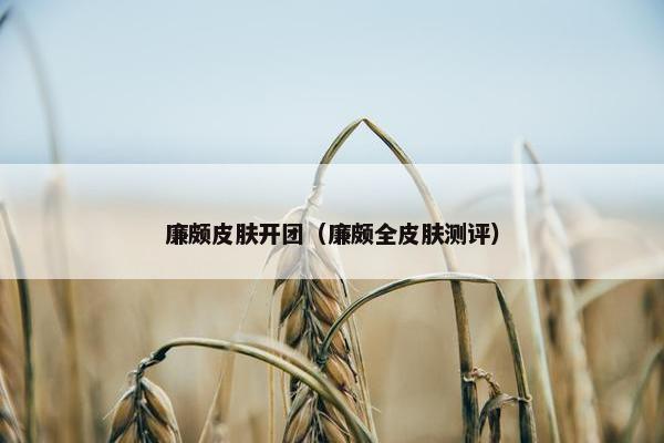 廉颇皮肤开团（廉颇全皮肤测评）